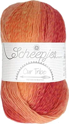 Produktbild von Scheepjes Our Tribe –Farbnr. 963 - 100g - 70% Wolle (die Weiche) Superwash/30% Polyamid