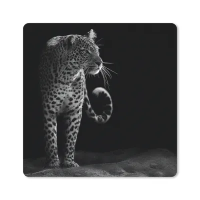 Produktbild von MuchoWow® Mauspad Mousepad Wildtiere - Leopard - Natur - Schwarz - Weiß 20x20 cm - Mousepads - Maus Mat - Pad - Mausunterlage - Desk Mat - Bureauartikeln