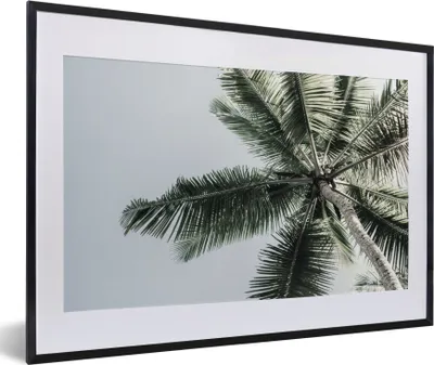 Produktbild von MuchoWow® Gerahmtes Poster Palme - Tropisch - Sommer 60x40 cm - Poster mit Schwarzem Bilderrahmen Wandposter Rahmen Foto Bilder - Schlafzimmer - Plakat in Rahmen - Drucken
