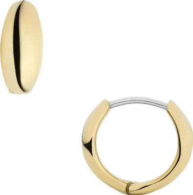 Produktbild von Fossil Ohrringe Ellis Domed Collection Edelstahl Gold-Ton JF04741710