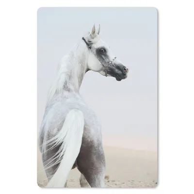 Produktbild von MuchoWow® Mauspad Mousepad Pferd - Sand - Pastell 18x27 cm - Mousepads - Maus Mat - Pad - Mausunterlage