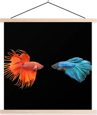 Produktbild von MuchoWow® Textilposter Fische - Wilde Tiere - Schwarz 40x40 cm mit holzfarbenen Rahmen - Posterleiste