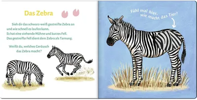 Image de Sound- und Fühlbuch Tiere der Wildnis (mit 6 Sound- und Fühlelementen)