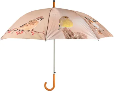 Produktbild von Esschert Design Regenschirm Wintervogeldesign Ø 120 cm