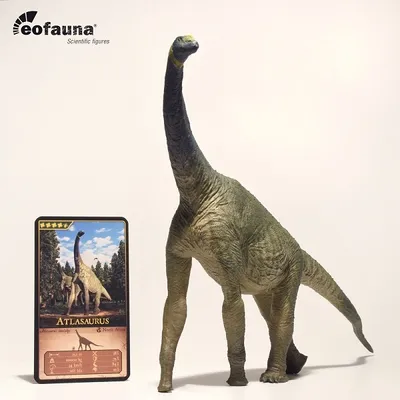 Produktbild von Eofauna FIG 004 Atlasaurus 30 cm Welt der Dinosaurier