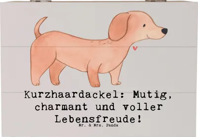 Produktbild von Mr. & Mrs. Panda Kiste Mutiger Dackel 22 x 15 cm - Grau Pastell - Geschenk, Wesen, treue Begleiter, Hunderassen Eigenschaften, Box, Charakter, kleine Hunde, Hunderasse