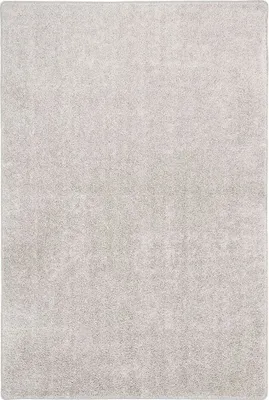 Produktbild von Hochflor Velours Teppich Weich Modern Einfarbig, Größe:200x300 cm, Farbe:Silbergrau