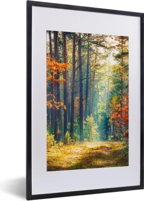 Produktbild von MuchoWow® Gerahmtes Poster Wald - Sonne - Natur - Herbst 40x60 cm - Poster mit Schwarzem Bilderrahmen Wandposter Rahmen Foto Bilder - Poster in Rahmen