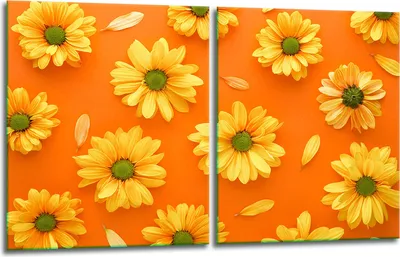 Produktbild von Herdabdeckplatten 2x40x52 Glaskeramikfeld 2-Teilig Glas Spritzschutz Blumen