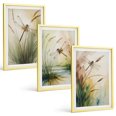 Produktbild von Bilder Set 3-teilig im Goldrahmen Rahmen – Wandbilder 3 Stück – gerahmte Poster für Wohnzimmer, Schlafzimmer und Flur – 40x60 cm – Libellen im Gras, Wassermalerei