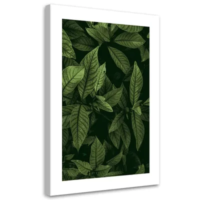 Image de Toile « Feuilles vertes » 80 x 120 Feeby Image verte pour le mur, prête à être accrochée