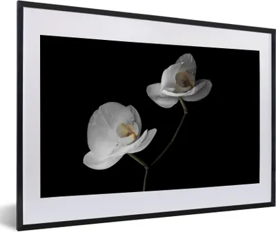 Produktbild von MuchoWow® Gerahmtes Poster Orchidee - Blumen - Schwarz - Weiß - Stilleben 60x40 cm - Poster mit Schwarzem Bilderrahmen Wandposter Rahmen Foto Bilder - Schlafzimmer - Plakat in Rahmen - Drucken