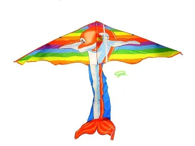 Image de Cerf-volant dauphin