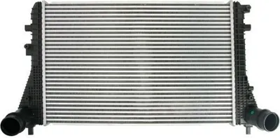 Obrázok produktu pre Chladič plniaceho vzduchu THERMOTEC DAW009TT