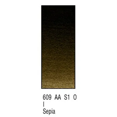 Image de Peinture aquarelle Winsor Newton AWC H/PAN SEPIA 609