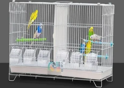 Image de Cage à oiseaux Cage double Cage à perruches Séparable Grille de séparation Volière pour perroquets avec perchoirs en bois et mangeoires