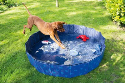 Produktbild von Karlie Doggy Pool blau - 160x160x30 cm