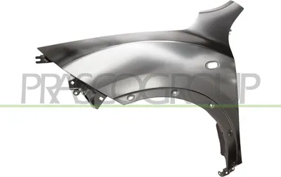 Produktbild von PRASCO DS7003014 Kotflügel Vorne Links für NISSAN JUKE (F15)