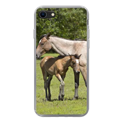 Produktbild von MuchoWow® Handyhülle Schutzhülle Hülle für iPhone SE 2020 Pferde - Gras - Schatten Silikon Softcase Handy Hülle - Kartenbesitzer