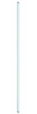 Produktbild von Paulmann STIC L 36 W 885.50 840 Coolwhite Leuchtstofflampe, T8 (26mm), 36 Watt