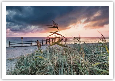 Produktbild von Poster - Poster ohne Rahmen - Strand Gras Horizont - 100x70 cm - Wand Bild - Wanddeko - Wandbilder - Kunstposter - Wandposter - Bilder - Kunstdruck - Wanddekoration - Wandbild - P2XAA100x70-4625