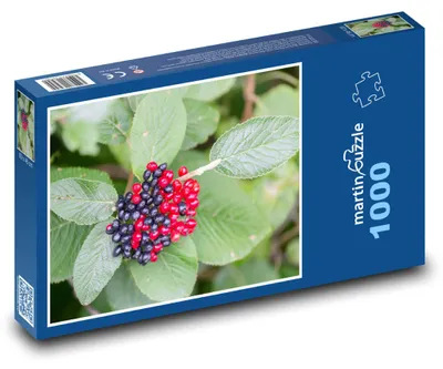 Obrázek produktu pro Puzzle 1000 Červené bobule s listy - martinpuzzle