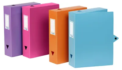 Immagine prodotto di Viquel - 6 contenitori in plastica - 6 archivi con chiusura a pressione - dimensioni adatte a