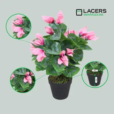 Produktbild von Lacers SMARAGDLINE künstliches Alpenveilchen 2er Set rosa - 45cm - Kunstpflanze im Topf - wie echt wirkende Blätter & Blüten für Ihr Zuhause oder Büro