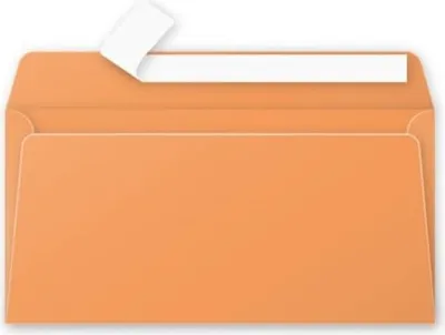 Produktbild von Clairefontaine 5495C, DL (110 x 220 mm), Orange, Papier, 120 g/m², 20 Stück(e), Forest Stewardship Council (FSC)