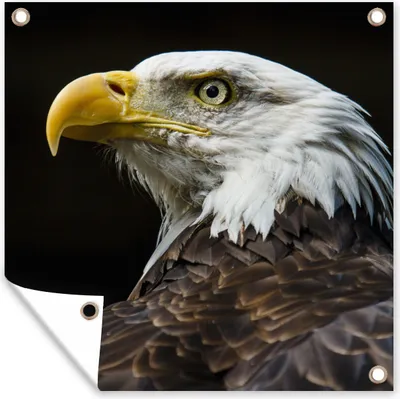 Produktbild von MuchoWow® 50x50 cm Outdoor-Poster Gartendeko Sichtschutz Garten Poster für den Garten  Adler - Vogel - Augen - Schnabel