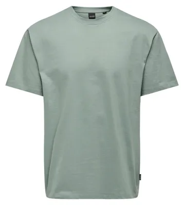 Immagine prodotto di Only & Sons ONSFRED RLX SS Tee, codice prodotto NOOS
