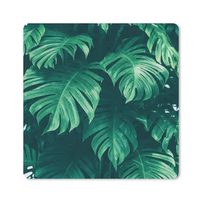 Produktbild von MuchoWow® Mauspad Mousepad Monstera - Blätter - Pflanzen - Dschungel - Natur 20x20 cm - Mousepads - Maus Mat - Pad - Mausunterlage - Desk Mat - Bureauartikeln