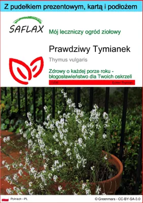 Zdjęcie produktu dla SAFLAX - Zestaw prezentowy - Prawdziwy Tymianek - 200 Nasiona - Z pudełkiem upominkowym, etykietą wysyłkową, kartą podarunkową i podłożem uprawowym - Thymus vulgaris