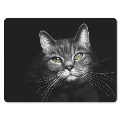 Produktbild von MuchoWow® Mauspad Mousepad Haustiere - Katze - Tiere - Schwarz - Weiß 23x19 cm - Mousepads - Maus Mat - Pad - Mausunterlage - Schreibtischunterlage - Mauspad