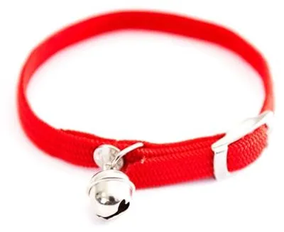 Image de Martin Collar Cat Elastic Nylon rouge