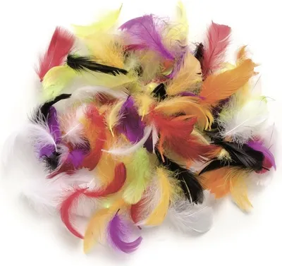 Produktbild von Glorex Deco-Federn multicolor ca. 30 Stück