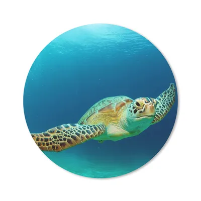 Produktbild von MuchoWow® Mauspad Mousepad Nahaufnahme einer Grünen Meeresschildkröte 20x20 cm - Mousepads - Maus Mat - Pad - Mausunterlage - Schreibtischmatte