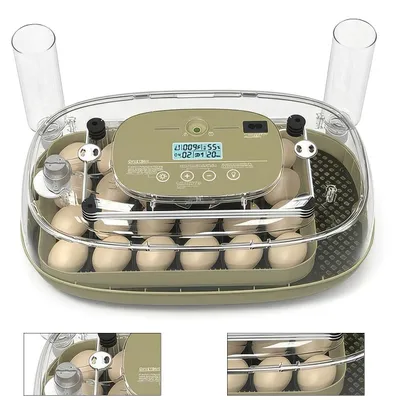Produktbild von Vollautomatischer Brutautomat für 24 Eier – Automatische Wendefunktion, Temperatur- & Feuchtigkeitsregelung, 360° Rundumsicht, für Hühner & Enten
