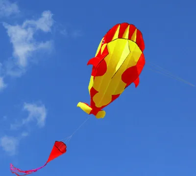 Zdjęcie produktu dla Latawiec Lixada 3D Gigantyczny bezramowy miękki latawiec wielorybniczy 120 * 215 cm z 30-metrowym latawcem jednolinkowym