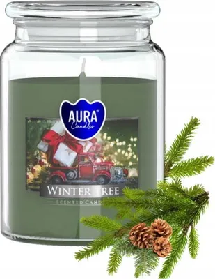 A large glass jar candle with a winter-themed label and a sprig of pine with pinecones.