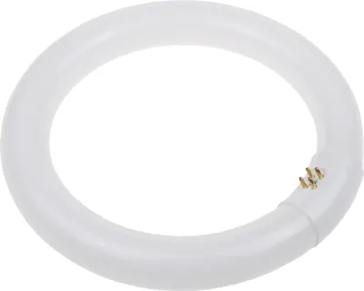 Immagine prodotto di 0001961 Lampadina Sylvania 840 G10q 22W tubo fluorescente T9 Circline More 1300lm - bianco freddo