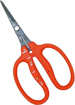 Zdjęcie produktu dla Chikamasa Nożyce do zbiorów 155mm ze stali nierdzewnej