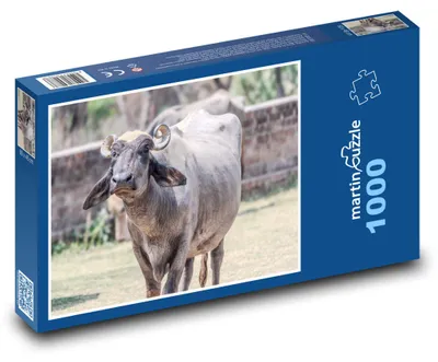 Zdjęcie produktu dla Puzzle 1000 Spokojny bawół na łące - martinpuzzle