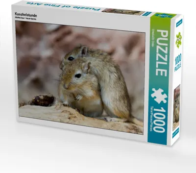 Produktbild von Calvendo Kuschelstunde 1000 Teile Puzzle quer 640x480mm, Di Chito Ursula; 7391637