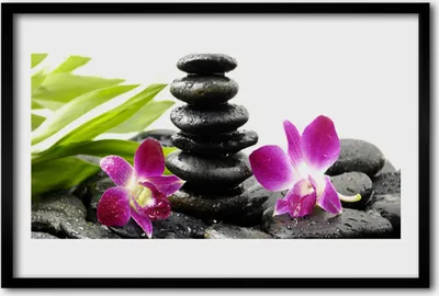 Produktbild von Bild 60x40 MDF-Rahmen Wandkunst Orchid Zen Spa Steine