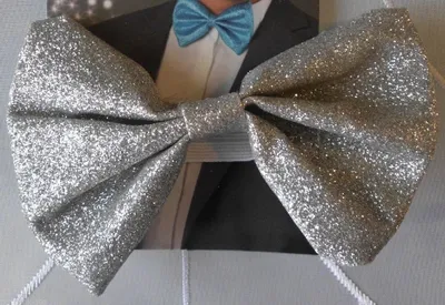 Produktbild von B529022 silber Damen Herren Glimmerfliege Party