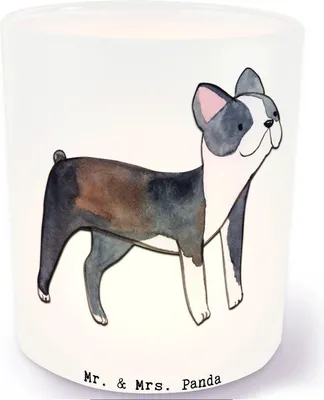 Produktbild von Mr. & Mrs. Panda Teelichthalter Boston Terrier Moment - Transparent - Geschenk, Windlicht aus Glas, Kerzenhalter