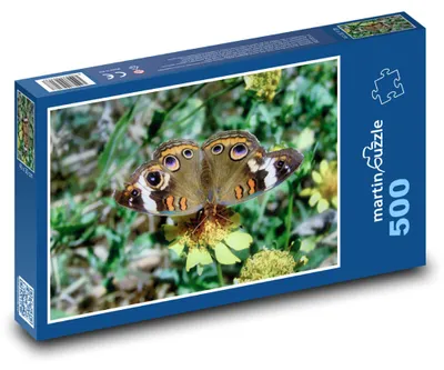 Obrázok produktu pre martinpuzzle – Puzzle 500 – Motýl