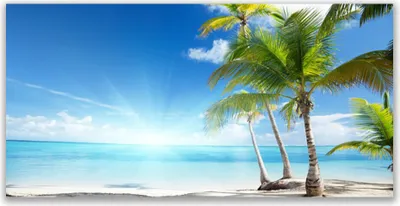 Produktbild von Glasbilder 140x70 Wandbild Druck auf Glas Palmen Meer Landschaft