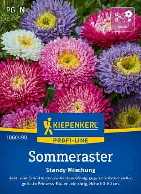 Produktbild von Kiepenkerl Sommerastersamen Standy 40 Pflanzen